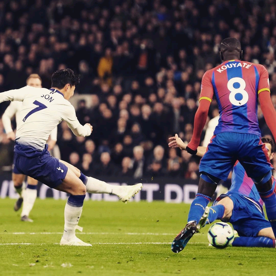 花的顽强拼 花的顽强拼